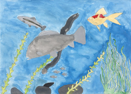 水と生き物