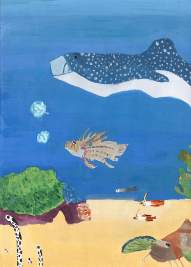 キレイな海