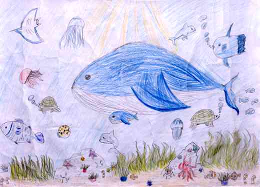 海の中