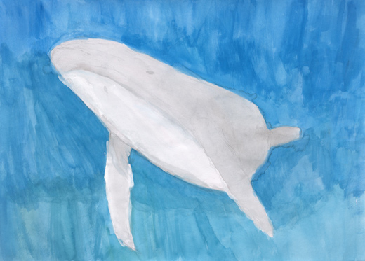 クジラ