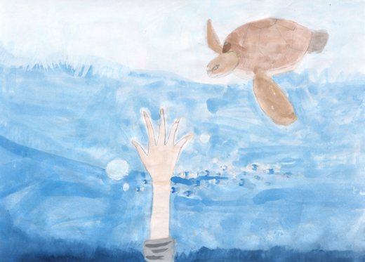 海