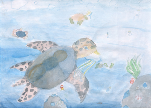 海