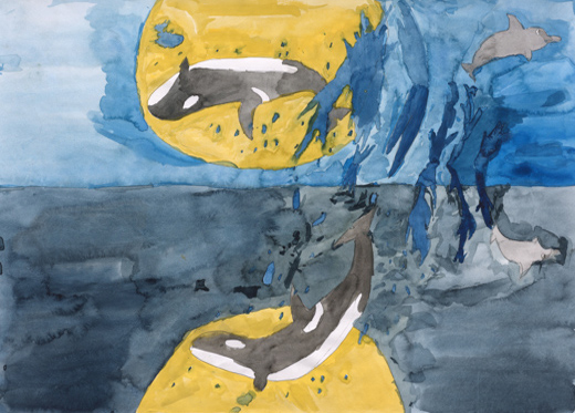THE KILLER WHALE