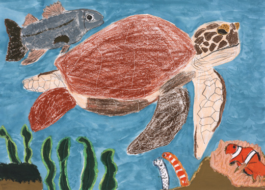 海の生き物