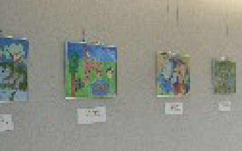 展示の様子