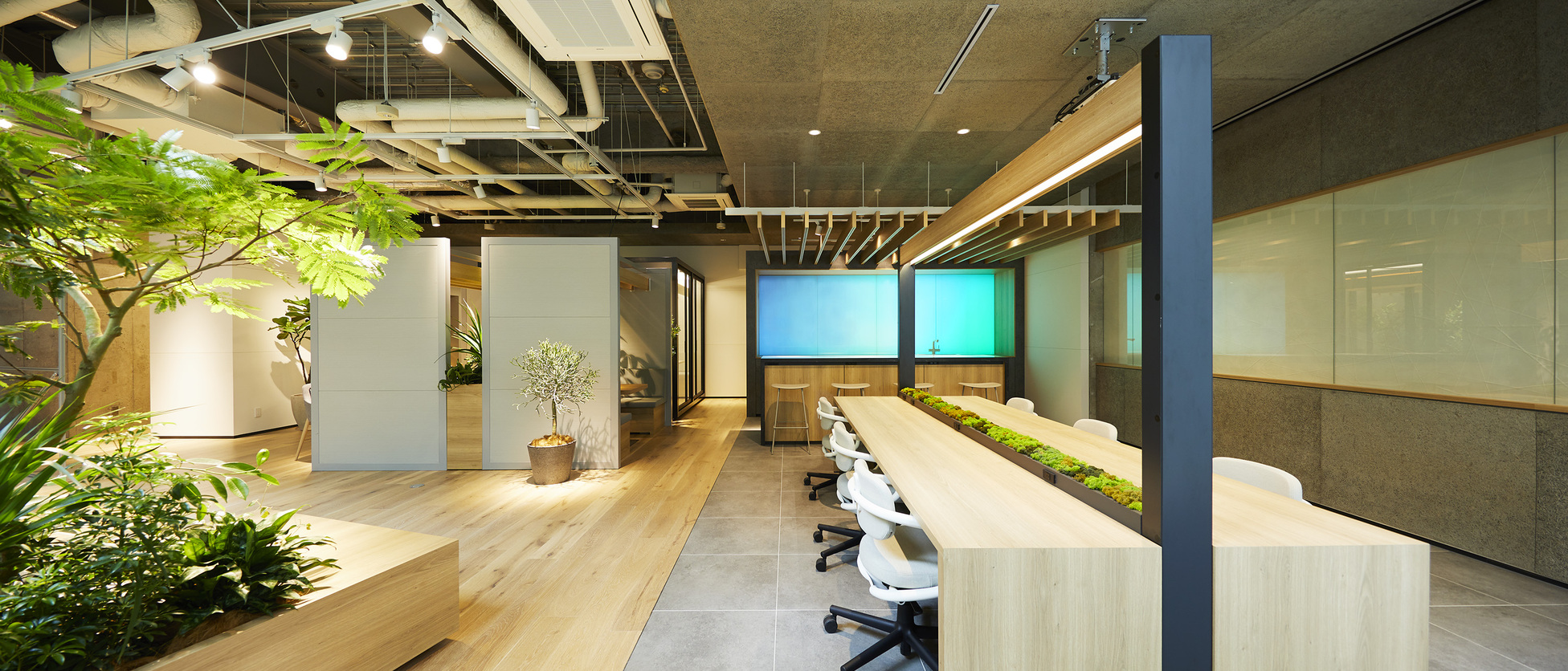 AIR HUB TOKYOの内観。木目調のデスクとグリーンのパネルが配置されたモダンなオフィス空間