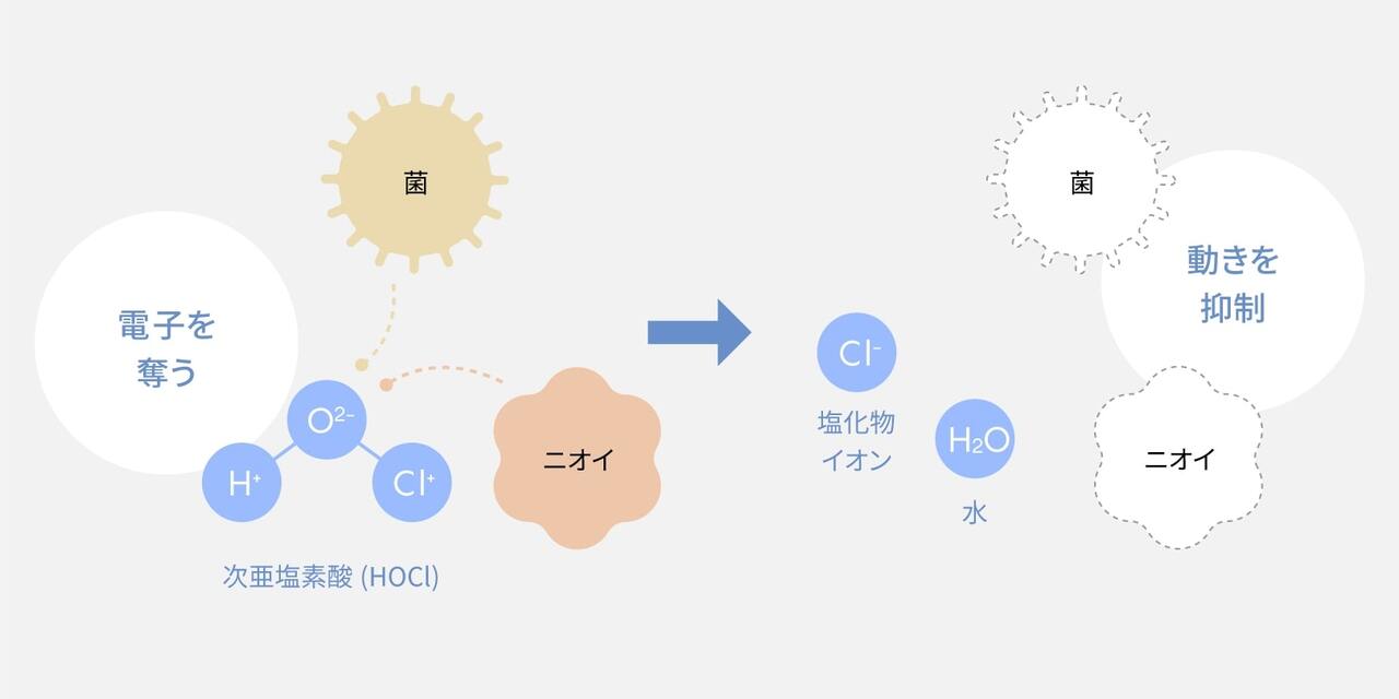 次亜塩素酸が菌やニオイから電子を奪い、働きを抑制して除菌・脱臭する仕組みを示す模式図