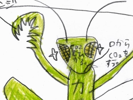 3匹の虫のイラスト