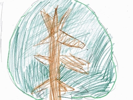 植木鉢と木のイラスト