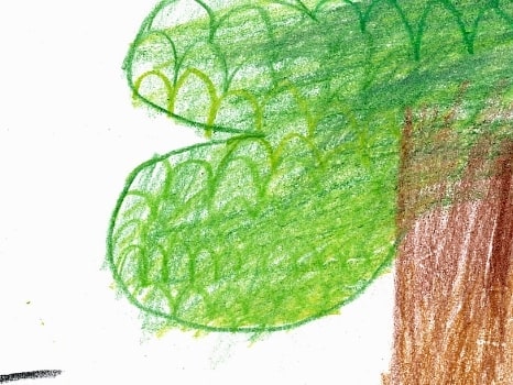 木と車のイラスト