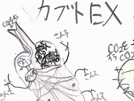 昆虫のイラスト