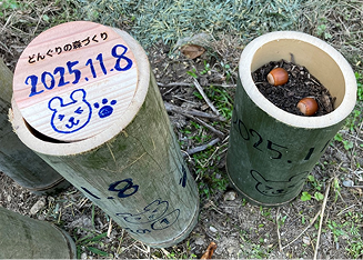 どんぐりの森づくり体験イベントの様子