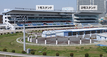 写真:向正面から1号スタンドおよび2号スタンドを臨む