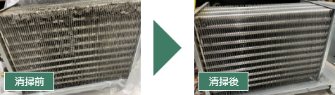 清掃前→清掃後