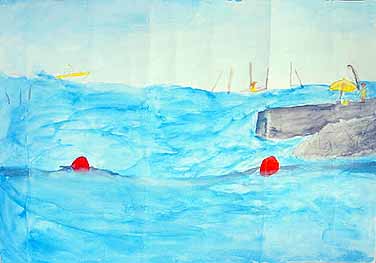 海