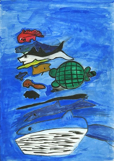 海の魚たち