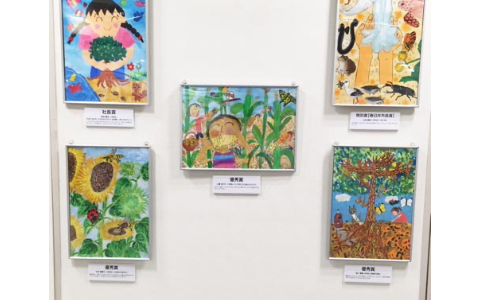 展示作品