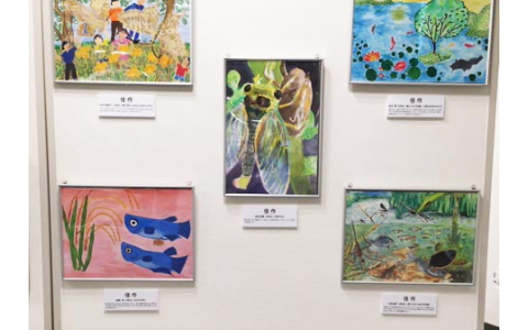 展示作品