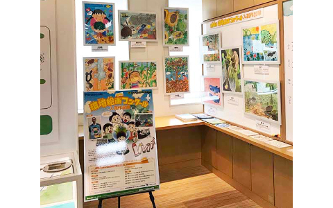 展示作品