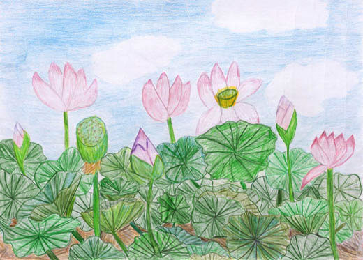 はすの花