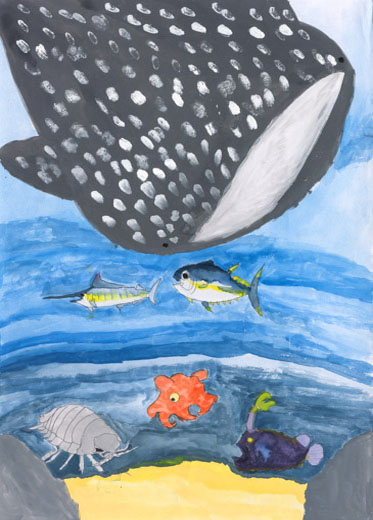 海の生き物たち