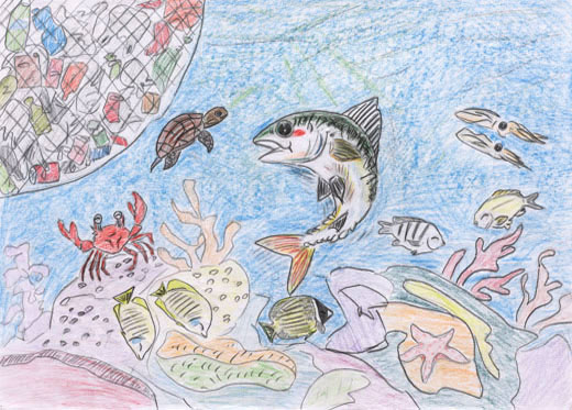 ゴミ0の海の中で、いきいきと泳ぐ生き物たち