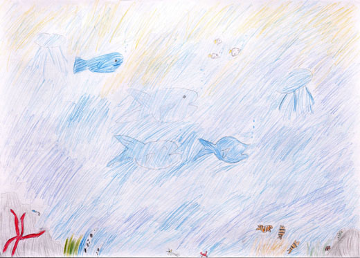 海と魚