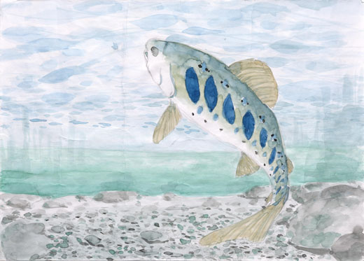 美しい水流