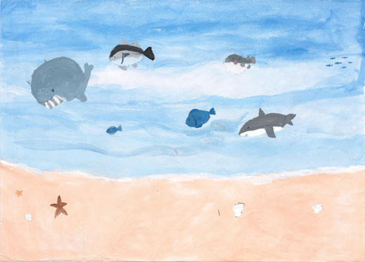 魚のいる海