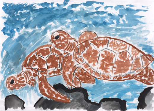 海のウミガメ