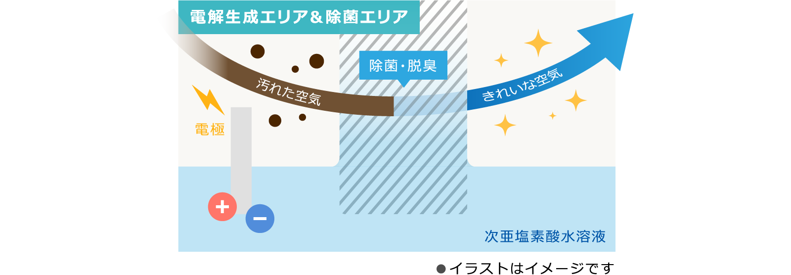 除菌エリア内で電解生成