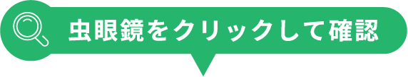 虫眼鏡をクリックして確認