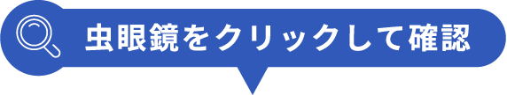 虫眼鏡をクリックして確認