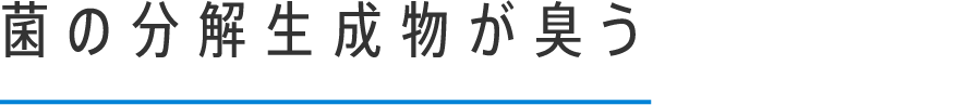 菌の分解生成物が臭う