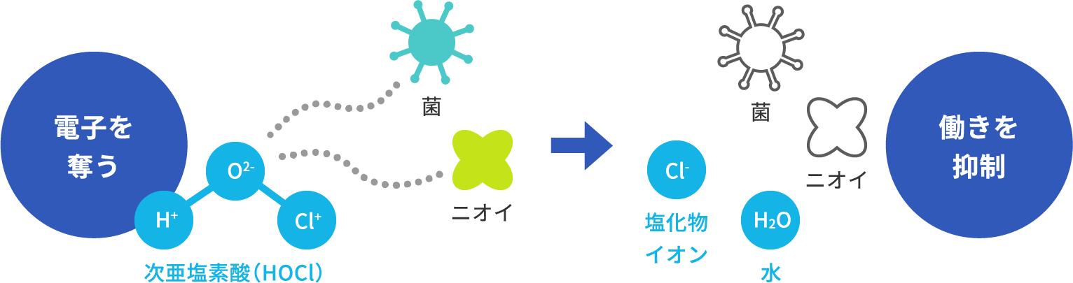 こんなところにも次亜塩素酸!