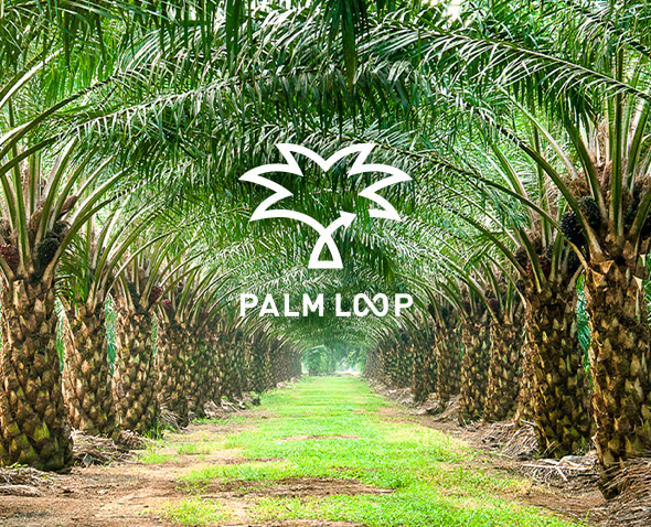 PALM LOOP 特設ページへ
