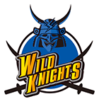 WILD KNIGHTS