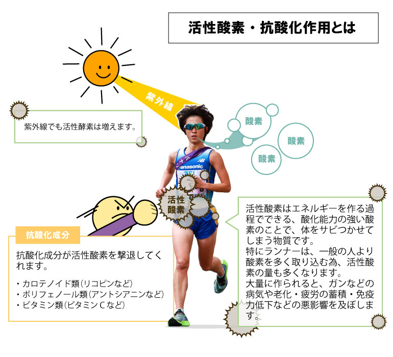 活性酸素・抗酸化作用とは 活性酸素はエネルギーを作る過程でできる、酸化能力の強い酸素のことで、体をサビつかせてしまう物質です。特にランナーは、一般の人より酸素を多く取り込む為、活性酸素の量も多くなります。 大量に作られると、ガンなどの病気や老化・疲労の蓄積・免疫力低下などの悪影響を及ぼします。 紫外線でも活性酸素は増えます。抗酸化成分が活性酸素を撃退してくれます。カロテノイド類(リコピンなど)ポリフェノール類(アントシアニンなど)ビタミン類(ビタミンCなど)