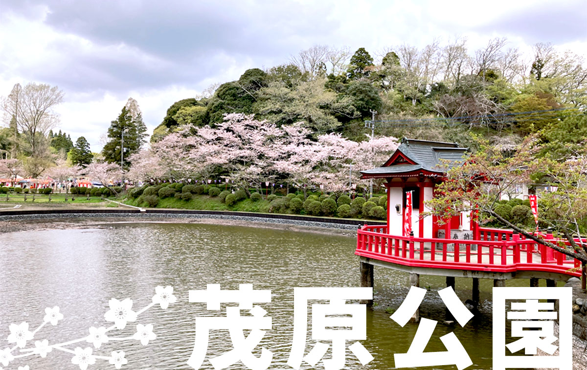 茂原公園