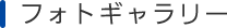 フォトギャラリー
