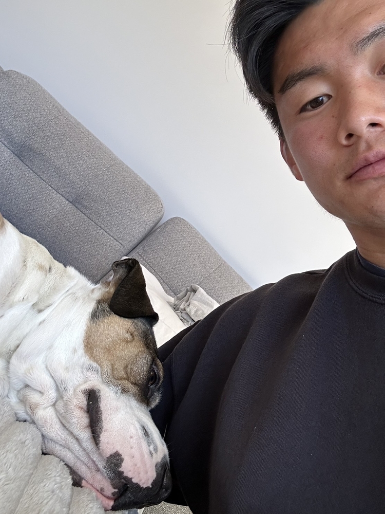 最近とても甘えてくるゼウスと